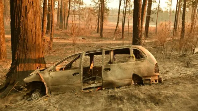 Dad badan oo dabka ku dhintay waxaa laga soo saaray gawaarida dhexdooda