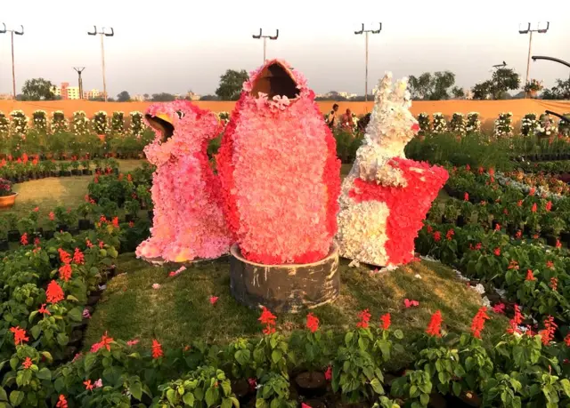 ફ્લાવર શો.