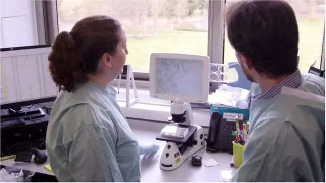 ক্যান্সার, ঔষধ, গবেষণা, ল্যাবরেটরি,