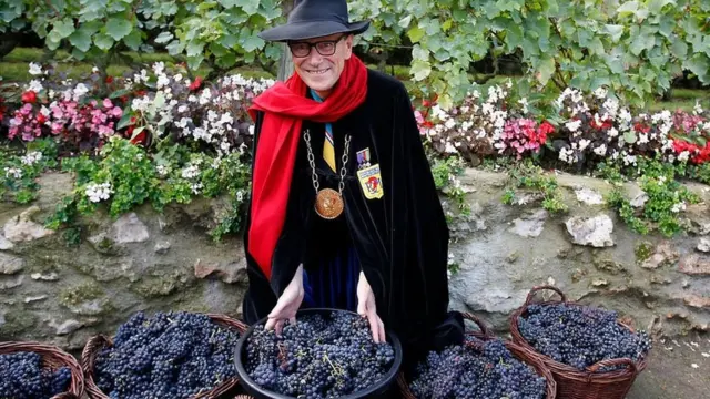 Kebun anggur di Paris