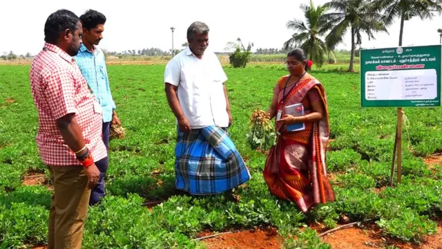 விதைப்பண்ணை