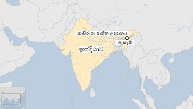 ඇසෑම්
