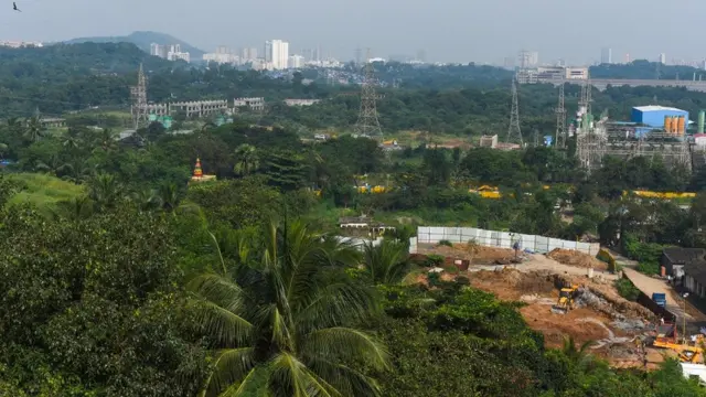 आरे जंगल, सुप्रीम कोर्ट