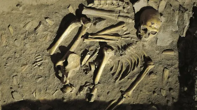 நியாண்டர்தால் உலகம்