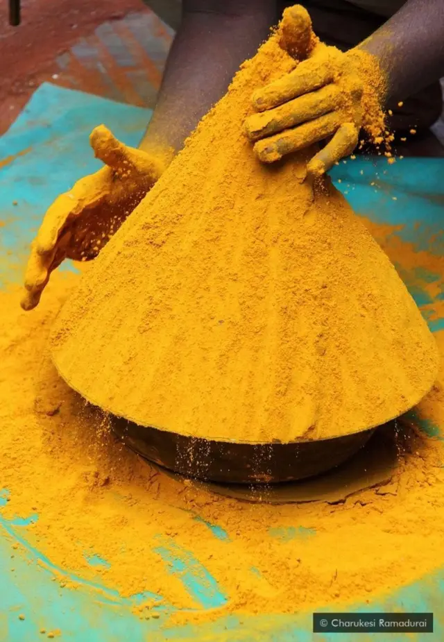 இந்திய கலாசாரத்தில் கணிசமான பங்கை மஞ்சள் பிடித்திருக்கிறது