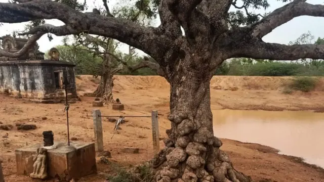 கந்தர்வகோட்டை சிறுமி நரபலி மகளையே கொலை செய்த தந்தை