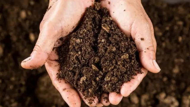 компост из человека