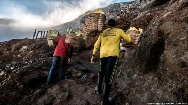 డెవిల్స్ గోల్డ్