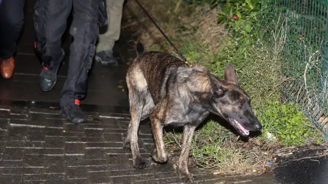 జమాల్ ఖషోగ్జీ, టర్కీ, సౌదీ అరేబియా