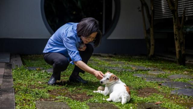 蔡英文和她饲养的杰克罗素梗犬"乐乐"