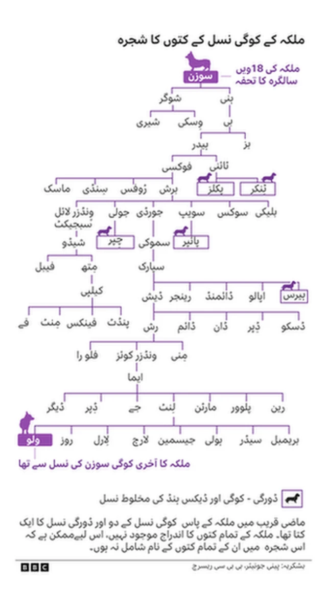 ملکہ کے کتوں کا شجرہ نصب