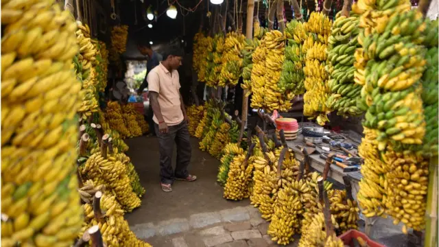 అమెరికాతోపాటు, గల్ప్ దేశాలకు ఏపీ నుంచి అరటి పండ్లు ఎగుమతి అవుతున్నాయి