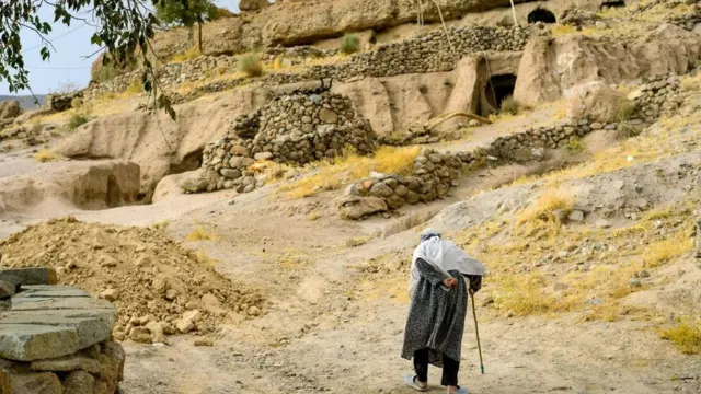 (图片来源:Rodolfo Contreras)