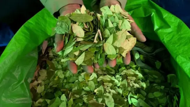 Coca-Cola ilikuwa na jani la koka katika mchanganyiko wake hadi mwaka 1929.