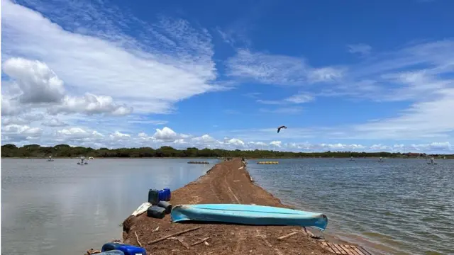 巴拿馬的白蝦養殖池。