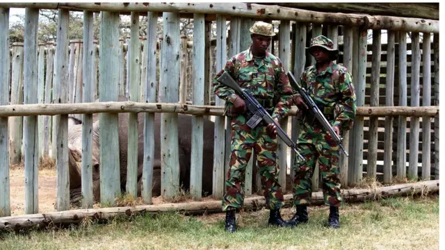 Huyu ni faru pekee wa kiume aina ya 'Northern Whire Rhino' aliyesalia ulimwenguni