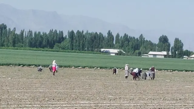 Далада ишловчилар