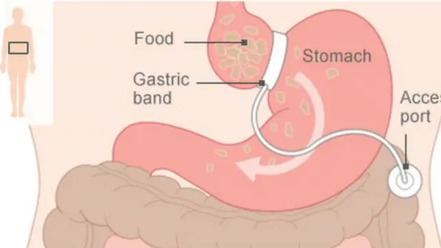 মিশর ভারত