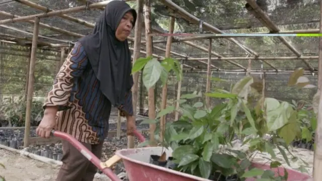 warga bayar obat pakai bibit.