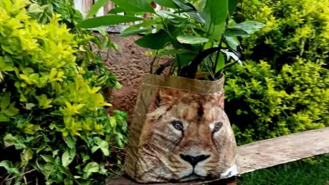 Iyo sashe yarimwo imivyaro y'amavoka