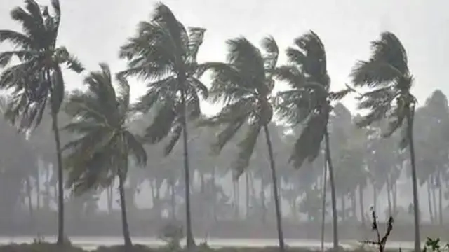 నిసర్గ తుపాను