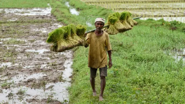 પ્રતીકાત્મક તસવીર