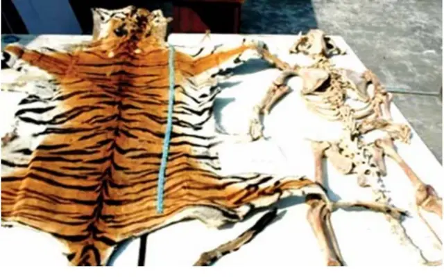 आखेटोपहार