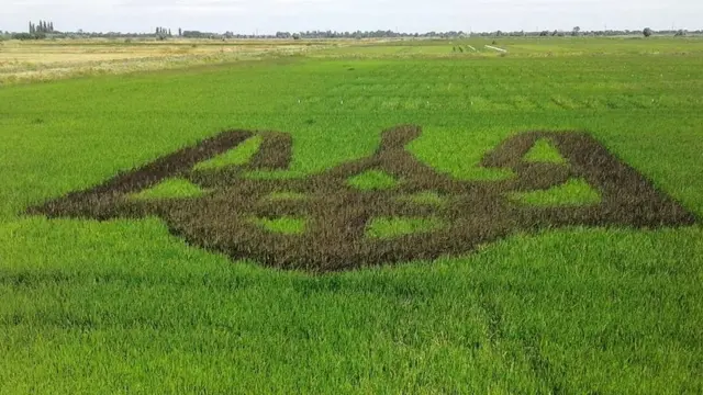 В прошлом году был трезубец, в этом году - Шевченко