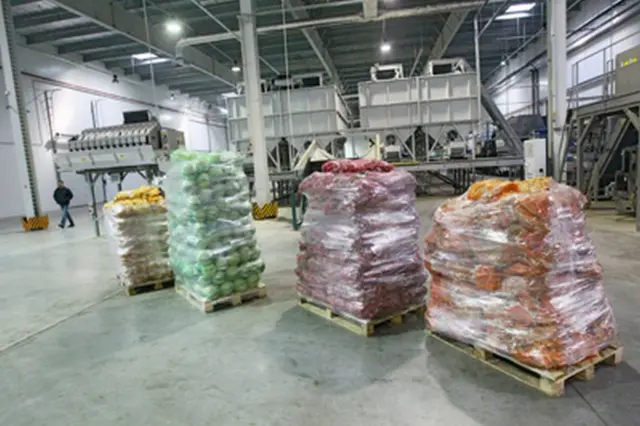 українські овочі