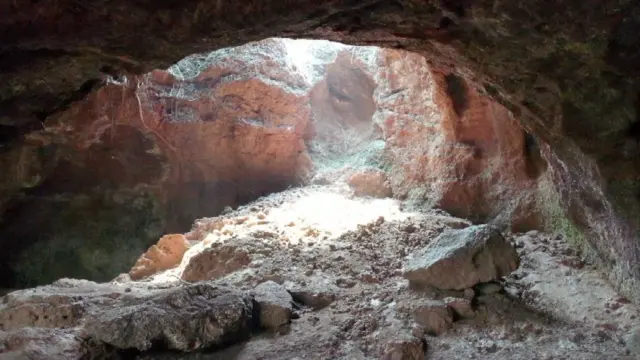 कातळशिल्प