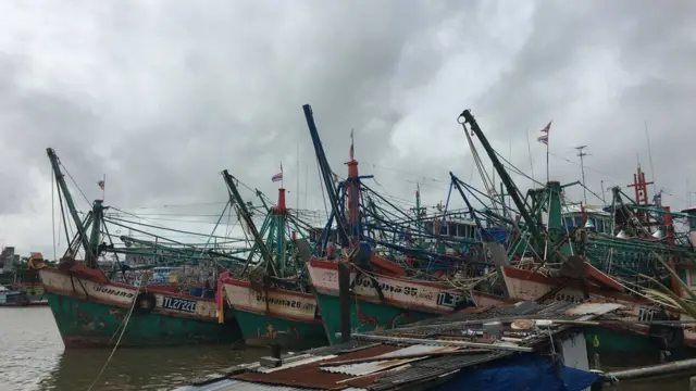 Cảng cá trên sông Pattani