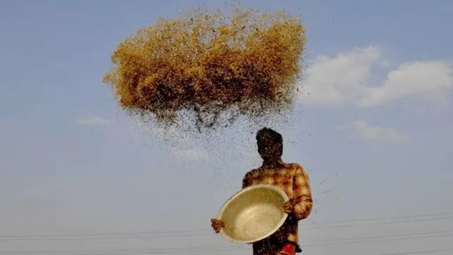 પ્રતીકાત્મક તસવીર