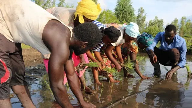 Les femmes apprennent de nouvelles techniques agricoles