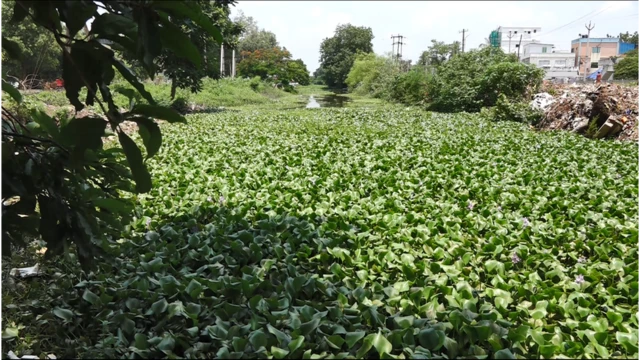 బకింగ్‌హాం కెనాల్