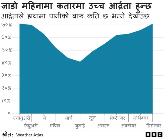 कतार विश्वकप