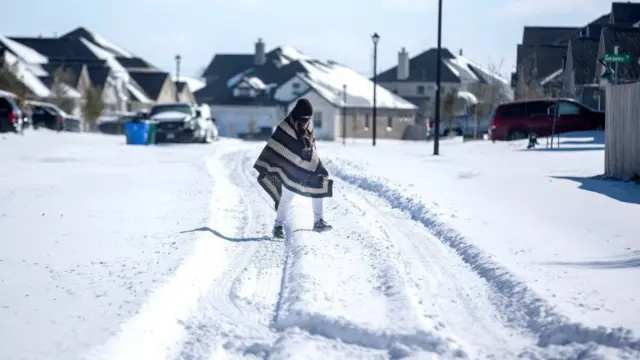 تگزاس