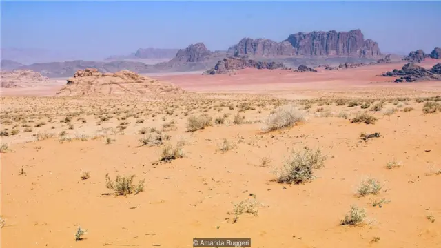 在沙漠里的部分地区，你可以同时看到白色、黄色、红色和紫色的沙子