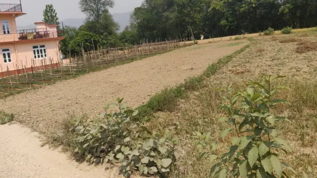 हिमाचल प्रदेश और मुसलमान