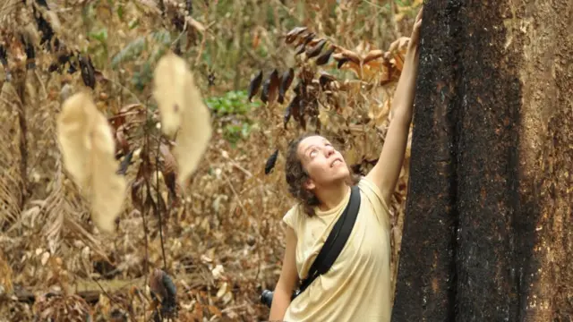 Autora principal do estudo, Erika Berenguer,icecasino com 25 eurouma floresta amazônica recentemente queimada durante o El Niñoicecasino com 25 euro2015