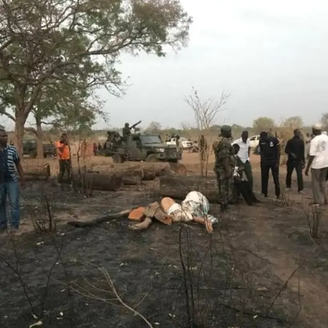 L'armée sénégalaise se déploie pour récupérer les troncs coupés