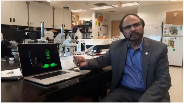 ڈاکٹر نوید امام سید