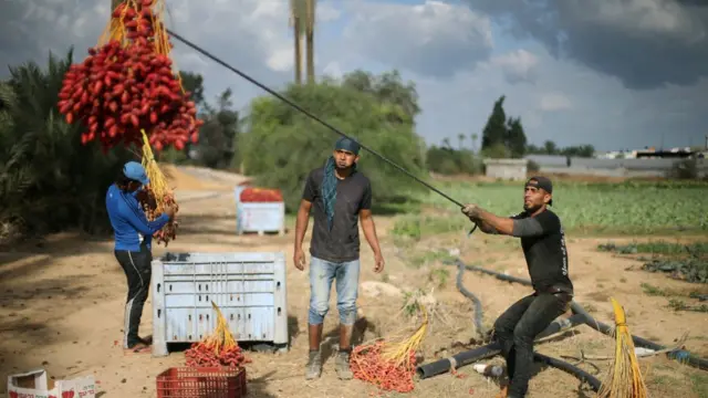 Palestina, Gaza, Hamas, Fatah