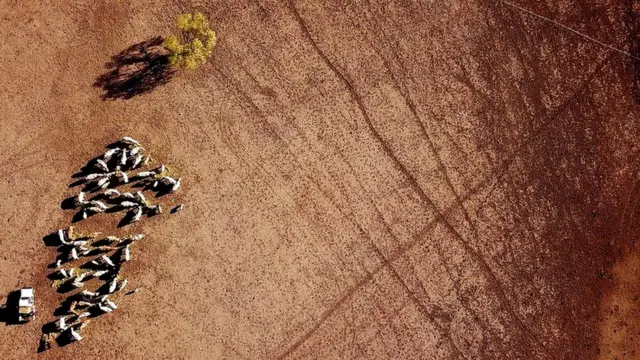 ऑस्ट्रेलिया में सूखा