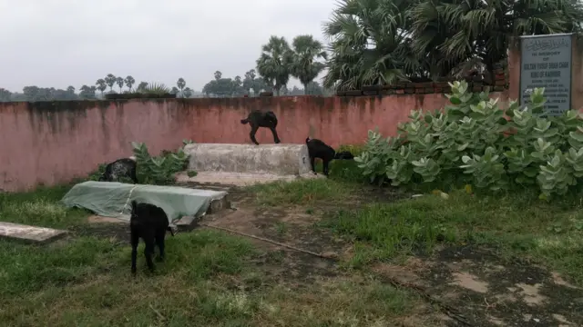 कश्मीर का आख़िरी सुल्तान जिसे बिहार में कब्र मिली