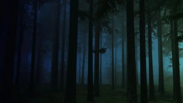 Зрячим людям тяжело сориентироваться, не пользуясь зрением, но мозг может научиться опираться на другие органы чувств