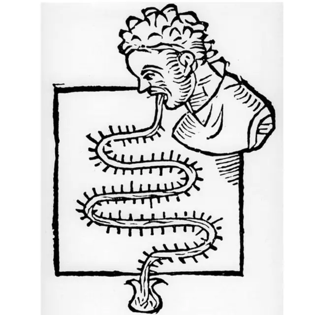 Grabado de la aplicación clínica del termoscopio