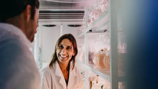 เฮเลนา อาบริว อัลกาพลัส