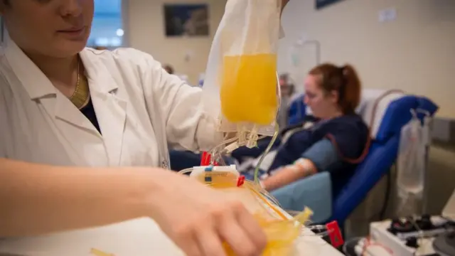 मां बन चुकीं महिलाएं क्यों नहीं डोनेट कर सकतीं प्लाज़्मा