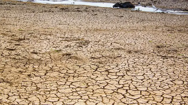 Impact of climate change to the Sri Lankan economy