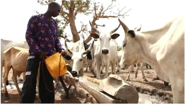 పశుపోషకులు